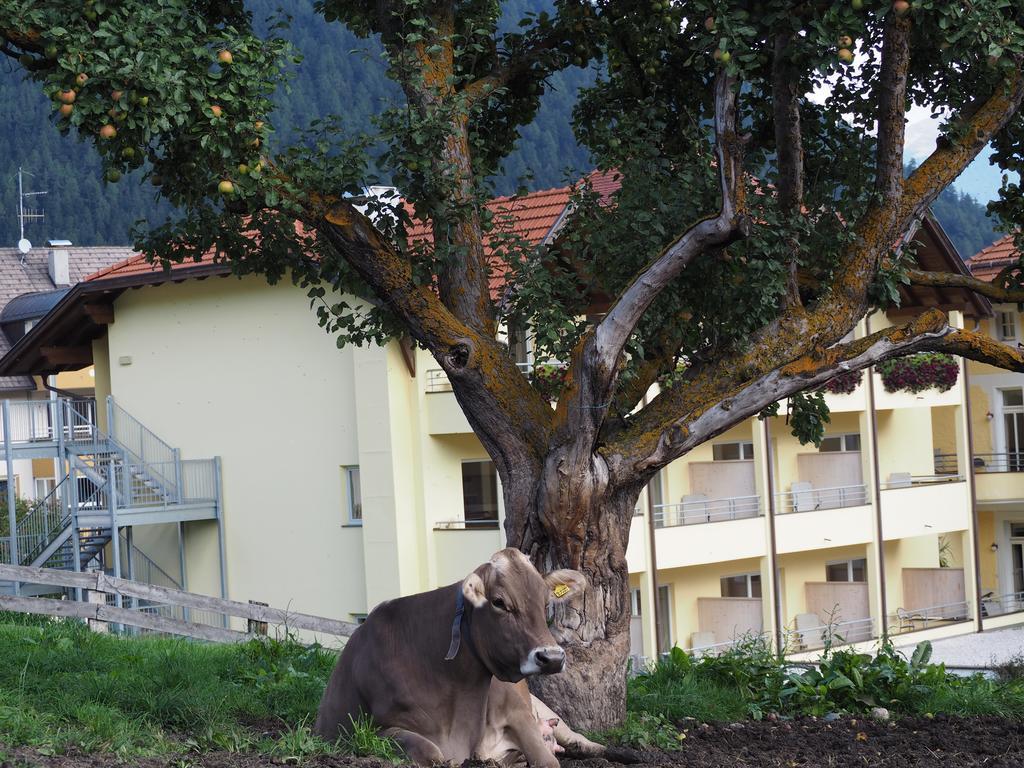Obermairhof Villa Olang Bagian luar foto